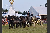 Impressionen der Steinhagener Reitertage 2015 - © Foto: Anke Schneider