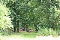 Dort, wo früher die Baumschule war, ist jetzt ein Arboretum. In diesem Teil befindet sich auch der Kompost und eine Benjeshecke, in der Vögel, Insekten und Kleintiere Lebensraum finden. - © Judith Gladow
