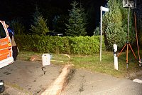 Der VW-Kleinwagen wurde nach dem Zusammenstoß mit dem Bulli durch diese Hecke in einen Vorgarten geschleudert. - © Andreas Eickhoff