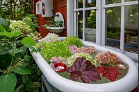 Das Ehepaar Susanne und Jürgen Kreft hat sich in Gütersloh einen wildromantischen Cottage-Garten geschaffen. Sie lieben Vintage-Schätzen und Do-it-yourself-Projekte. In ihrem verwinkelten Garten gibt es viel zu entdecken. - © Stefan Derschum