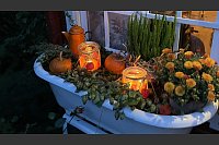 Das Ehepaar Susanne und Jürgen Kreft hat sich in Gütersloh einen wildromantischen Cottage-Garten geschaffen. Sie lieben Vintage-Schätzen und Do-it-yourself-Projekte. In ihrem verwinkelten Garten gibt es viel zu entdecken. - © Susanne Kreft