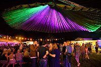 Der Riesenschirm leuchtet abends in grün und lila. - © Ekkehard Hufendiek