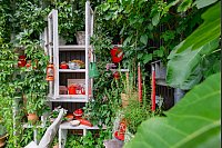 Das Ehepaar Susanne und Jürgen Kreft hat sich in Gütersloh einen wildromantischen Cottage-Garten geschaffen. Sie lieben Vintage-Schätzen und Do-it-yourself-Projekte. In ihrem verwinkelten Garten gibt es viel zu entdecken. - © Stefan Derschum