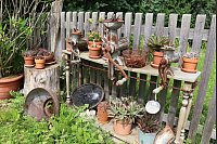 Sukkulenten gehören zu Mareike Hübners Lieblingen. An geeigneten Standorten im Garten finden sich zahlreiche der Pflanzen, so wie auf diesem Sukkulenten-Regal. - © Judith Gladow