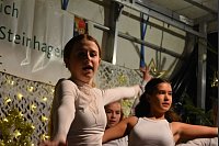 Die Mitglieder der Tanz-AG des Gymnasiums hatten am Samstagabend ihren großen Auftritt. - © Birgit Nolte