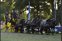 Impressionen der Steinhagener Reitertage 2015 - © Foto: Anke Schneider