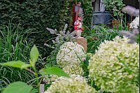 Das Ehepaar Susanne und Jürgen Kreft hat sich in Gütersloh einen wildromantischen Cottage-Garten geschaffen. Sie lieben Vintage-Schätzen und Do-it-yourself-Projekte. In ihrem verwinkelten Garten gibt es viel zu entdecken. - © Stefan Derschum
