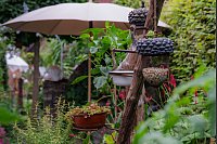 Das Ehepaar Susanne und Jürgen Kreft hat sich in Gütersloh einen wildromantischen Cottage-Garten geschaffen. Sie lieben Vintage-Schätzen und Do-it-yourself-Projekte. In ihrem verwinkelten Garten gibt es viel zu entdecken. - © Stefan Derschum