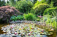 Wettbewerb Schönster Garten in OWL- Garten von Meinhard und Inge Rethmeier in Altenhagen - © Barbara Franke