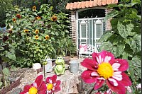 Impressionen vom riesengroßen Garten von Gerlinde Kersting aus Delbrück. - © Uwe Müller