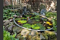 Wasserplätschern darf im Garten nicht fehlen. - © Svenja Ludwig