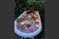 Das Ehepaar Susanne und Jürgen Kreft aus Gütersloh hat sich einen wildromantischen Cottage-Garten im Schatten des Heidewald-Stadions geschaffen. Die beiden lieben Vintage-Schätzchen und Do-it-yourself-Projekte. - © Susanne Kreft