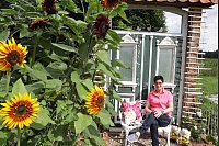 Gerlinde Kersting hat ihren großen Garten komplett selbst gestaltet. Die Delbrückerin baut auch so etwas wie die fast 200 Jahre alte Haustür hinter ihr mit ein. - © Uwe Müller