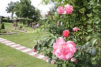 Impressionen vom riesengroßen Garten von Gerlinde Kersting aus Delbrück. - © Uwe Müller