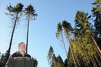Kahlschlag: Wo der Borkenkäfer nicht war, hat Sturm Friederike ganze Arbeit geleistet. Förster Johannes-Otto Lübke ist besorgt. - © Anja Hanneforth