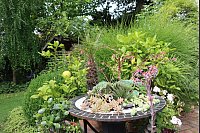 Sukkulenten gehören zu Mareike Hübners Lieblingen. An geeigneten Standorten im Garten finden sich zahlreiche der Pflanzen, so wie auf diesem Sukkulenten-Tisch. - © Judith Gladow