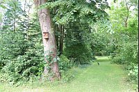 Dort, wo früher die Baumschule war, ist jetzt ein Arboretum. Seltene, zum Teil auch exotische Arten stehen dort neben heimischen Bäumen. - © Judith Gladow