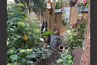 Das Ehepaar Susanne und Jürgen Kreft hat sich in Gütersloh einen wildromantischen Cottage-Garten geschaffen. Sie lieben Vintage-Schätzen und Do-it-yourself-Projekte. In ihrem verwinkelten Garten gibt es viel zu entdecken. - © Susanne Kreft