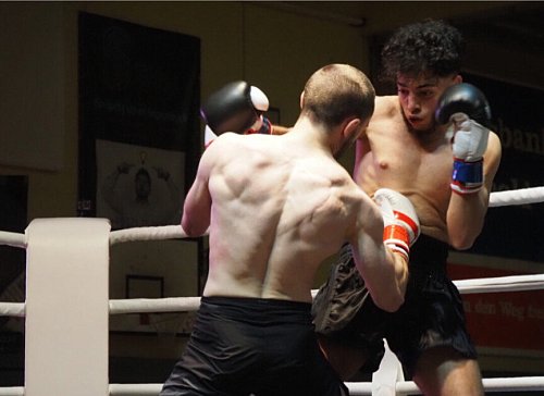 Mehr als 20 Box- und Kickboxkämpfe in fast allen Gewichtsklassen finden am Samstag in Versmold statt. - © Fight Night Versmold