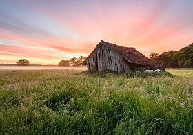 Die besten Naturfotos 2024