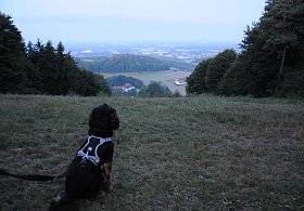 Die schönsten Bilder vom Sonnenaufgang