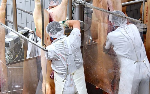Das Schlachterei-Geschäft firmiert auch künftig unter dem Namen Tönnies. - © picture alliance/dpa/Tönnies