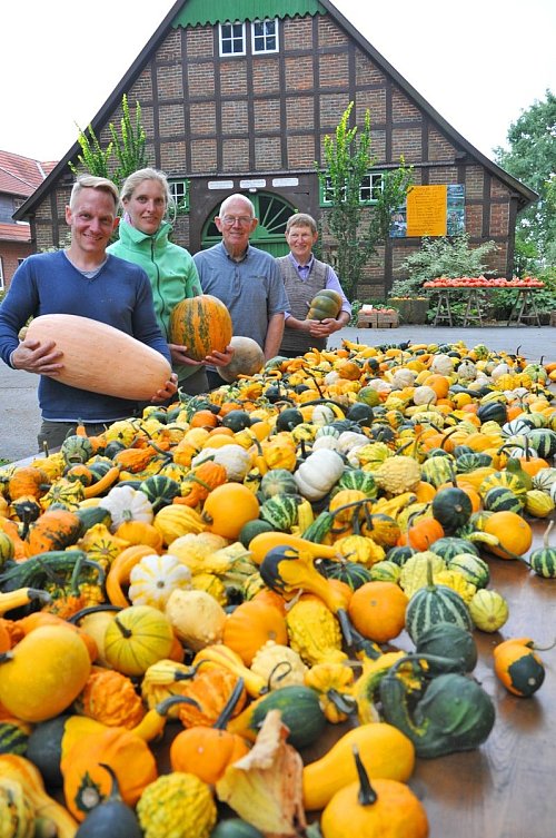 70 verschiedene Sorten: Christoph Ordelheide (von links), seine Freundin Eva Brand sowie Wilken und Renate Ordelheide mit einer Auswahl an Kürbissen. - © Frank Jasper