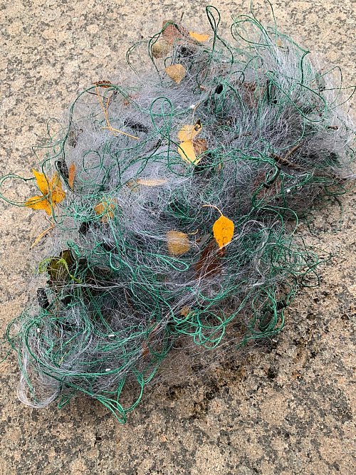 Dieses Netz war am Wochenende am Westholt-See verbotenerweise ausgelegt und wurde rechtzeitig von einem ASV-Mitglied entdeckt, bevor sich Tiere verheddern. - © privat