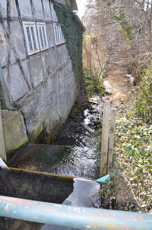2,20 Meter fällt der Bach an der Mühle in die Tiefe – unüberwindbar für Wasserbewohner. - © Andreas Großpietsch