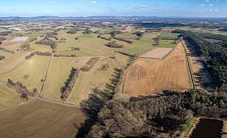 Die Hörster Feuchtwiesen bilden mit 531,32 Hektar Fläche das größte Naturschutzgebiet im Kreis Gütersloh. - Ulrich Fälker