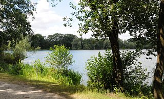Am Sandforther See - Rolf Uhlemeier