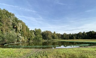 Der Gänseteich in der Barrelpäule in Halle (Westf.) soll verfüllt werden, dadurch soll der Teich für Wasservögel unattraktiver werden. Foto: Kreis Gütersloh - Kreis Gütersloh