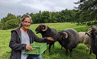 Tina Esser inmitten ihrer "Jungs". Die Herde mit zehn Schafböcken grast aktuell auf dem Golfplatz in Eggeberg. - Anja Hanneforth