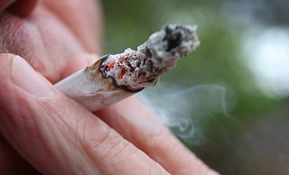 Der Borgholzhausener hatte mehreren Verkaufseinheiten Cannabis bei sich, als die Polizei ihn am Kesselbrink in Bielefeld festnahm. - dpa