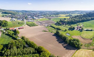 Umgeben von den sanften Hügeln des Teutoburger Waldes bietet Borgholzhausen den perfekten Ausgangspunkt. Die neuen Wanderweg sind so markiert, dass Verlaufen kaum möglich ist. - Ulrich Fälker
