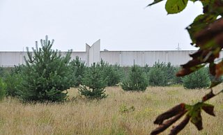 Zwischen der Lärmschutzwand an der Autobahn und der Steinhagener Wohnsiedlung ist über die Jahre ein Biotop entstanden. - Frank Jasper