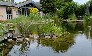 Am Schwimmteich gibt es immer etwas zu beobachten. Claudia und Hans-Jürgen Beckmann nennen es ihr Bio-Kino. - Heike von Schulz