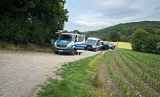 Am Freitagabend wurde in einem kleinen Waldstück im Bereich Mödsiek in Halle eine Leiche gefunden. Das Gebiet hatte eine Hundertschaft im Zuge der Suchmaßnahmen bereits in den Blick genommen (unser Archivbild). Die Ermittlungen am Einsatzort lassen zurzeit nur den Schluss zu, dass es sich um die vermisste Seniorin (88) handelt. - Tobias Barrelmeyer