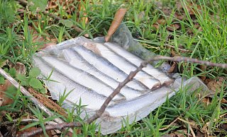 Ebenfalls in die Landschaft geworfen: eingeschweißte Fische. - Anja Hanneforth, HK