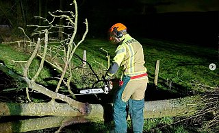 In Borgholzhausen musste die Feuerwehr mit der Kettensäge einen Baum zerlegen. - Feuerwehr Borgholzhausen