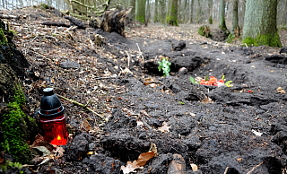 In dieser Senke am Rande eines Wäldchens in Kökebeck wurde im Februar 2012 die Leiche von Nelli Graf gefunden.