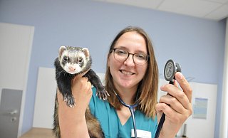Tierärztin Sarah Wellhöner rät Hunde- und Katzenhaltern nach dem Brand zur Vorsicht. - Frank Jasper