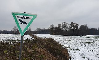 Die von den Stadtwerken Münster geplanten Windräder sollen an der Grenze zu Naturschutzgebieten entstehen. Das stößt auf heftige Kritik. - Tobias Barrelmeyer