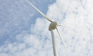 Gegen die geplanten Windräder in den Haller Ortsteilen Hörste, Bokel und Kölkebeck formiert sich Widerstand. - Tasja Klusmeyer