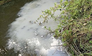 Die trübe Flüssigkeit in der Hessel auf Sassenberger Gebiet rief am Mittwochmorgen Feuerwehr und Behörden auf den Plan. - Feuerwehr Sassenberg