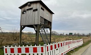 Seit einem halben Jahr kann der Aussichtsturm im Versmolder Bruch wegen des Brandschadens nicht mehr betreten werden. Nun gibt es eine neue Perspektive. - Tasja Klusmeyer