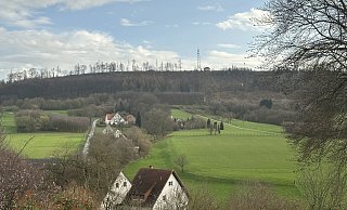 Hier, im Bereich Große soll ein Windpark entstehen. Dafür aber muss eine ebene Fläche geschaffen werden, um Fundamente und Zufahrtsstraßen errichten ztu können. - Heiko Kaiser