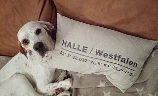 Lina hat ein neues Zuhause gefunden. Nach langer Reise ist Lina in Halle heimisch geworden. - Nicole Ebel