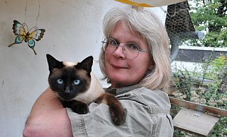 Nicole Kreuter, hier mit Siamkatze Mimi, beobachtet, dass auch immer mehr Rassekatzen ausgesetzt werden. - Frank Jasper