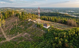 Hier auf der Egge könnte ein winpark entstehen. Die Gesamthöhe der Windräder wäre etwa fünmal so groß wie die Höhe des Funkmastes. - Ulrich Fälker